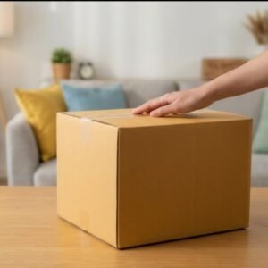 Envío Estándar Paquete Mediano (Ciudad Real)